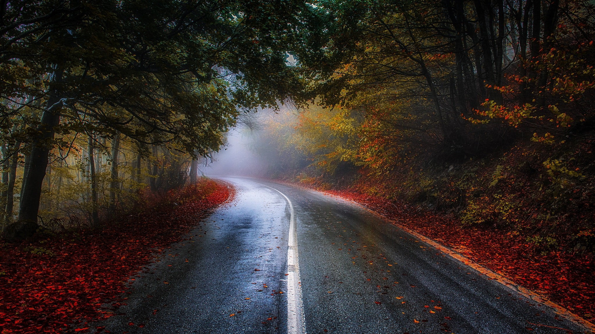 Autumn, curve, country road, diminishing perspective, autumn