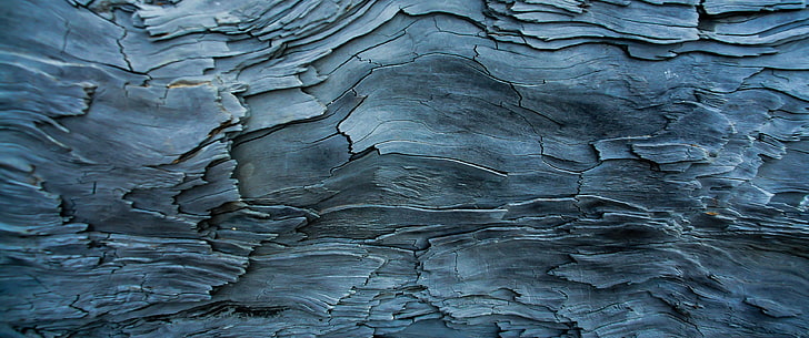 Beautiful Digital Art Nature, wood grain, natural pattern, blue, wood  material