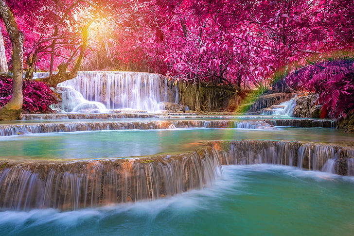 Beautiful Waterfalls Streams and Flowers, purity, scenics  nature, thailand, summer Free HD Wallpaper