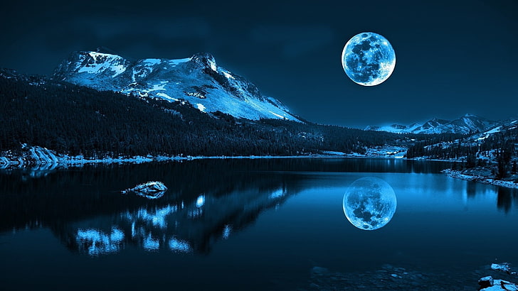 Blue Moon, forest, night, astronomy, digital art Free HD Wallpaper