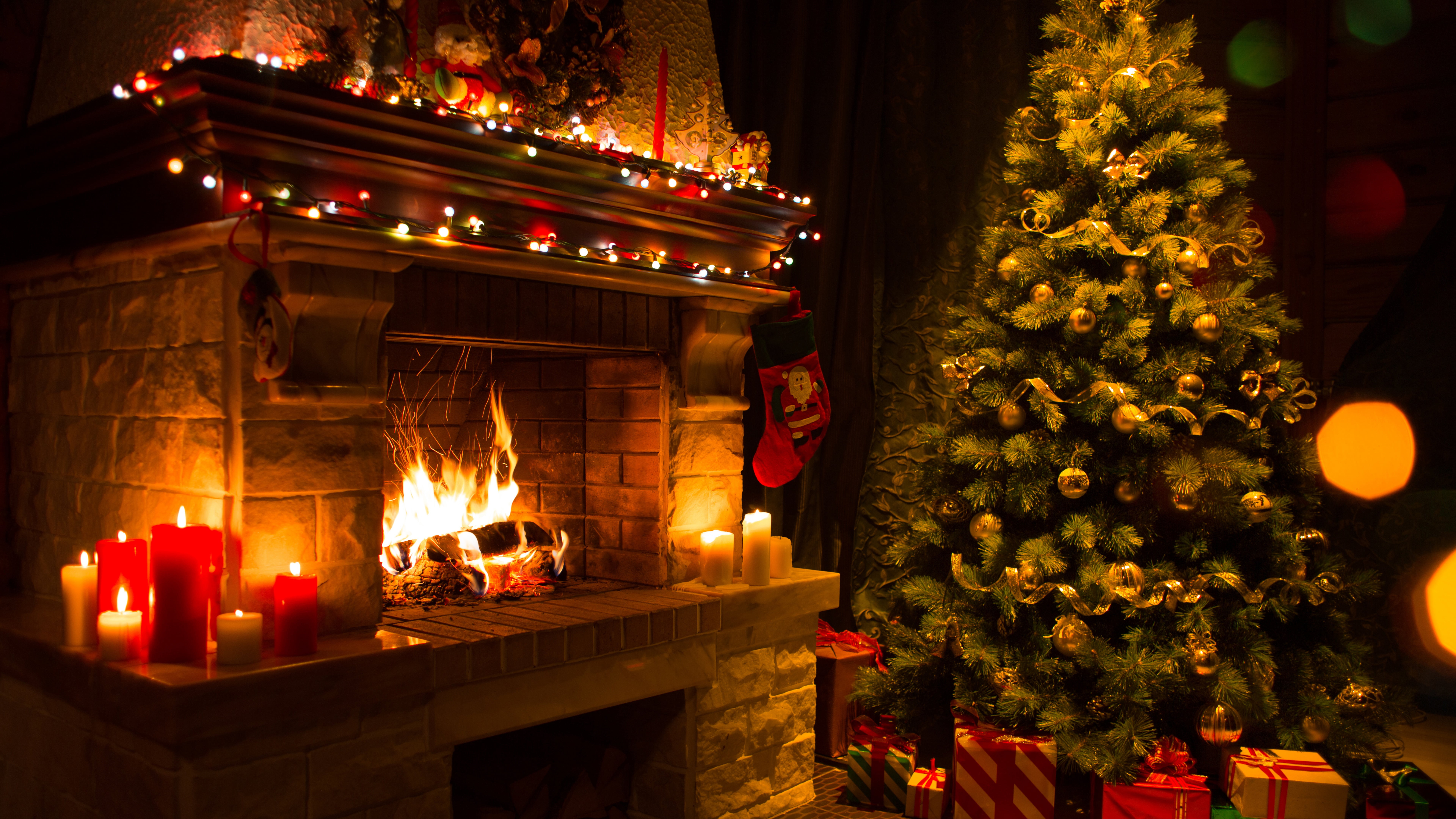 Cozy Christmas, christmas lights, flame, plant, christmas ornament