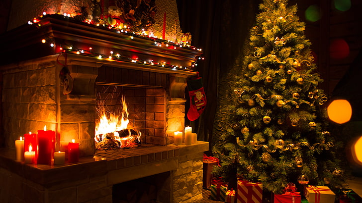 Cozy Christmas, christmas lights, flame, plant, christmas ornament Free HD Wallpaper