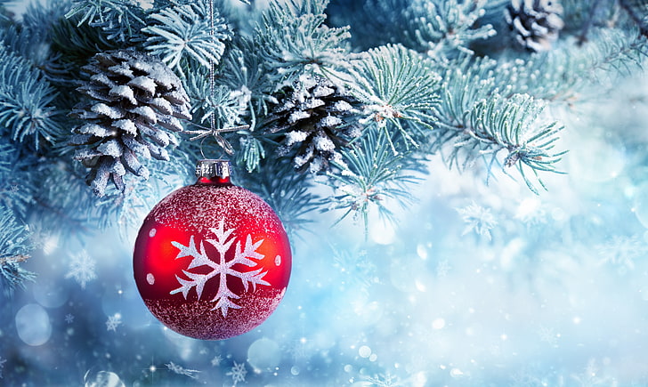 Designer Decorated Christmas Trees, hanging, december, frost, holiday  event Free HD Wallpaper