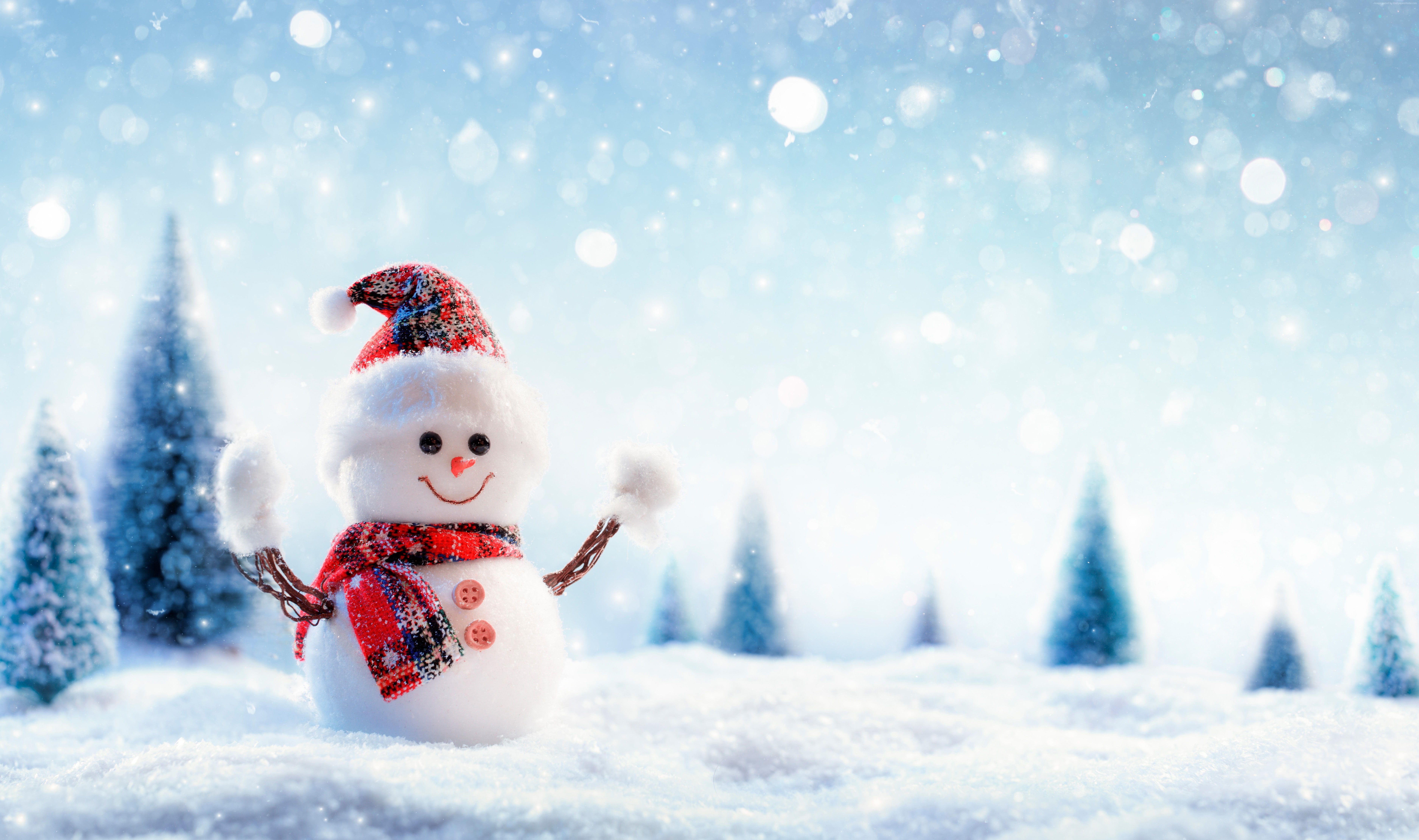 Holiday Snowman, new year, happy year, christmas, snow