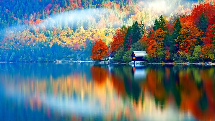 Lake Bohinj Slovenia, nonurban scene, leaf, mist, wood  material Free HD Wallpaper