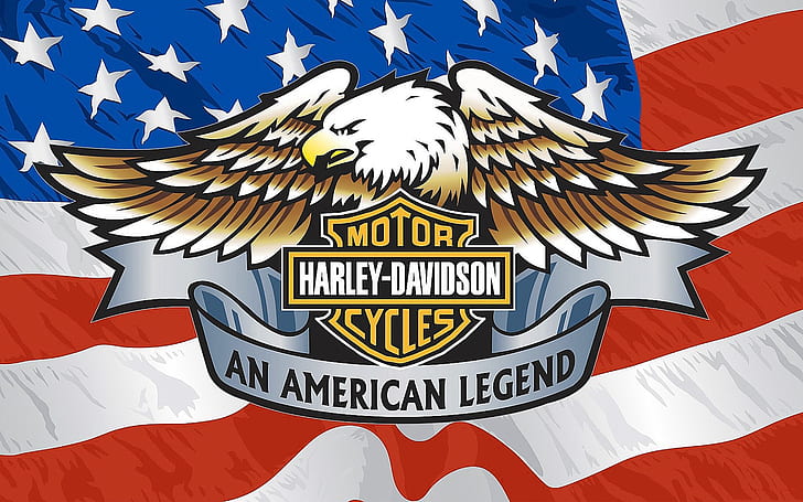 No Pain No Gain, eagle, brand, american flag, harley davidson Free HD Wallpaper