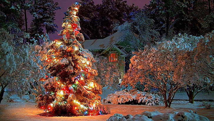 Outdoor Christmas Decorations, pine, holiday, nature, celebration event Free HD Wallpaper