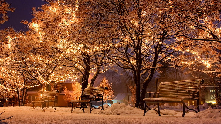 Park Bench Photography, park, park bench, lighting, outdoors