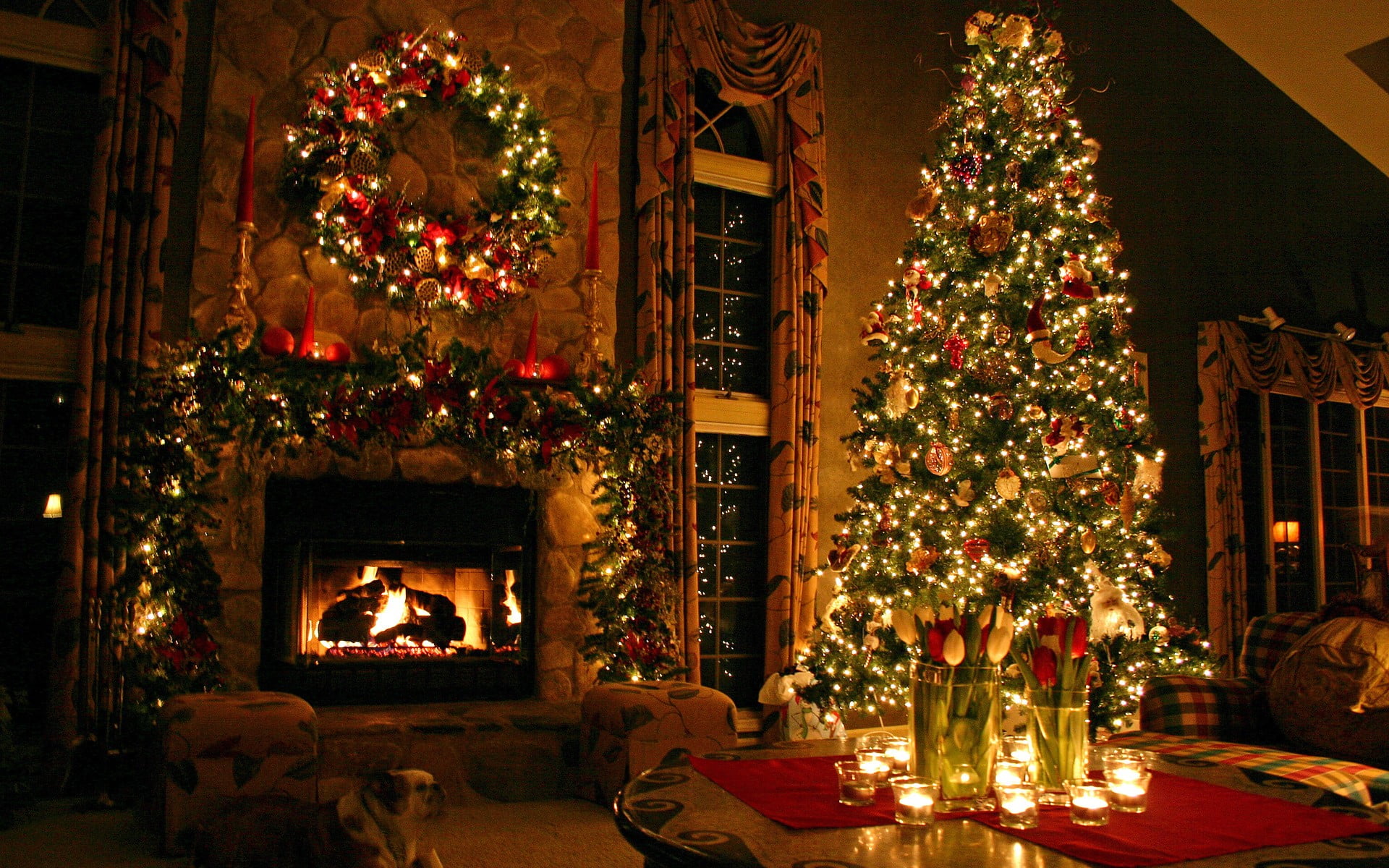 Pretty Christmas Trees, christmas ornament, christmas decoration, dog, no people