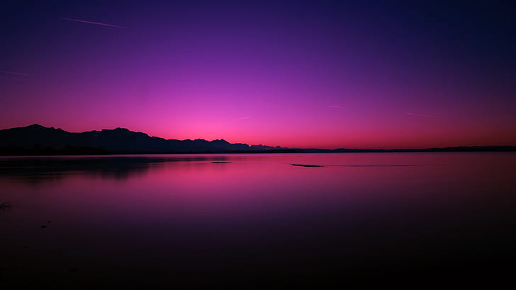 Purple Sky Flower, night, horizon, sunset, silhouette Free HD Wallpaper