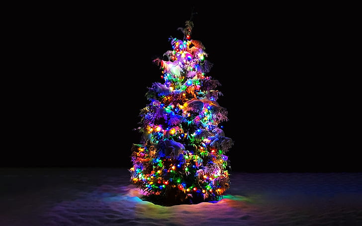 Snowing Christmas Tree, snow, christmas, Christmas Tree, christmas tree Free HD Wallpaper