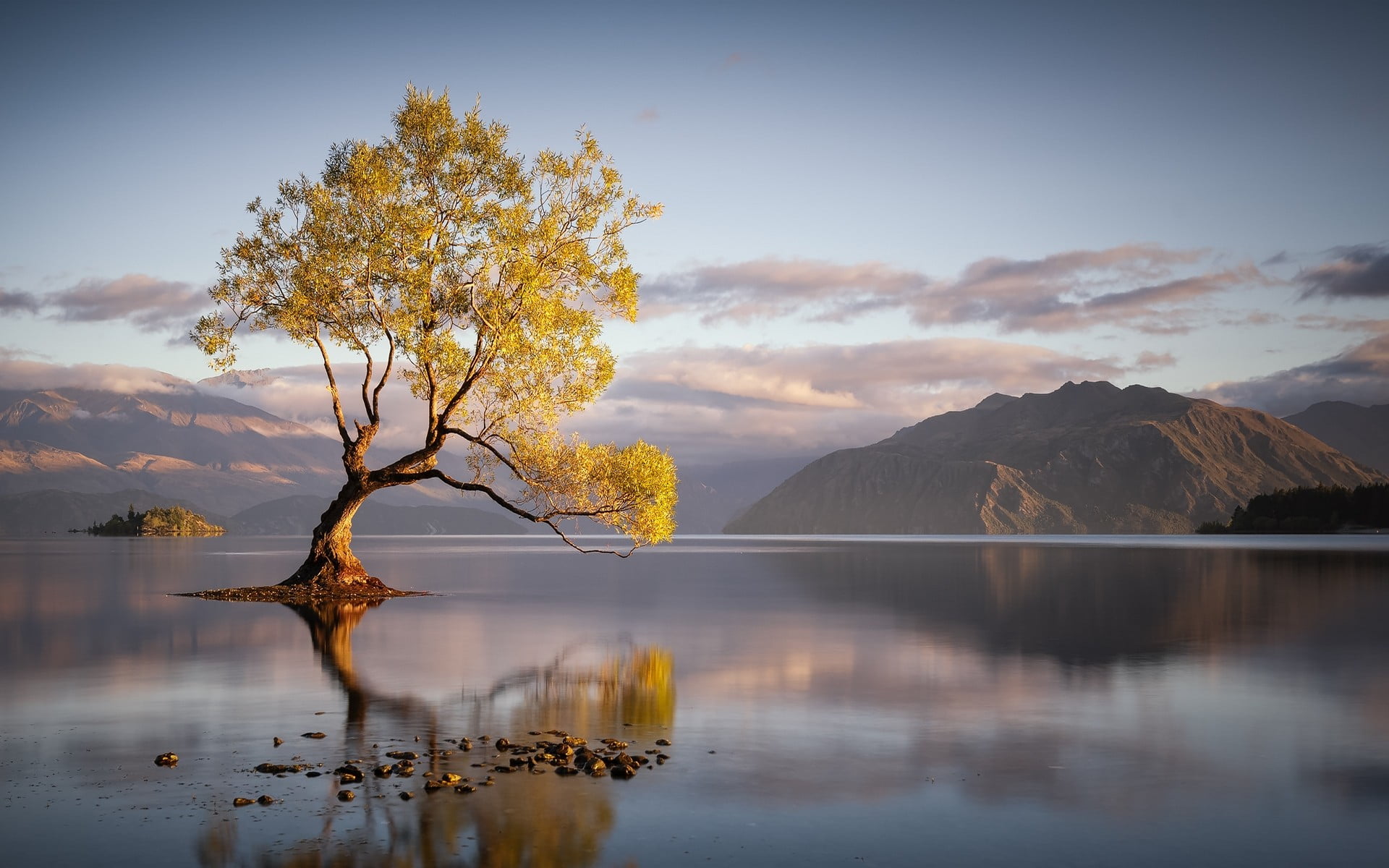 Sunrise Trees Landscape, sunset, no people, water, outdoors