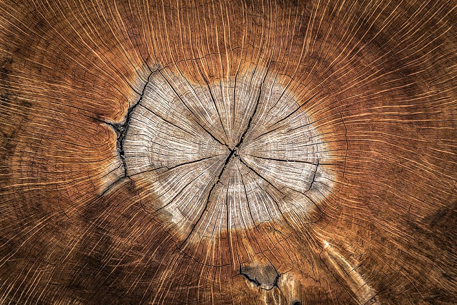 Texture Photography, full frame, timber, textured effect, old Free HD Wallpaper