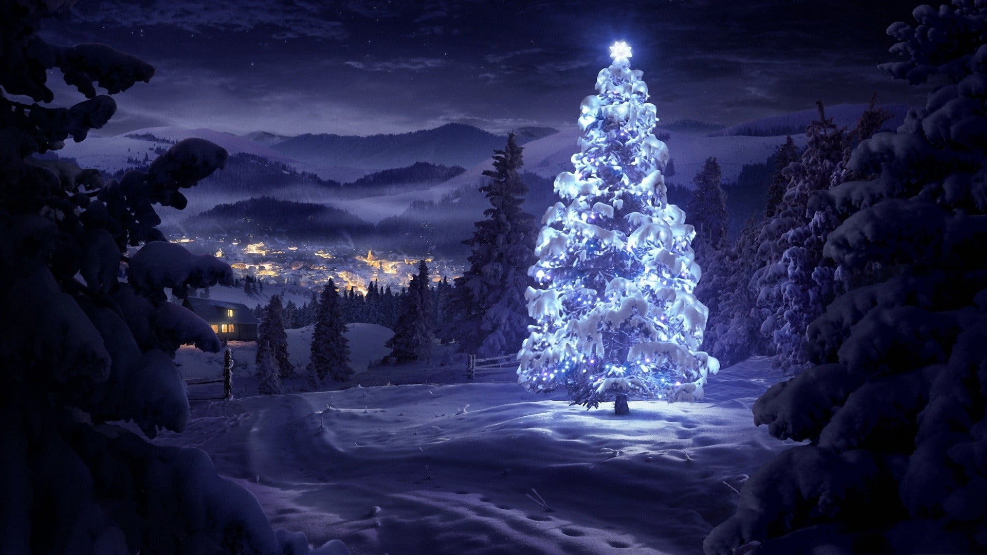 Winter Night Forest, pine trees, december, lighting equipment, spruce tree