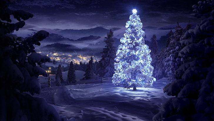 Winter Night Forest, pine trees, december, lighting equipment, spruce tree Free HD Wallpaper