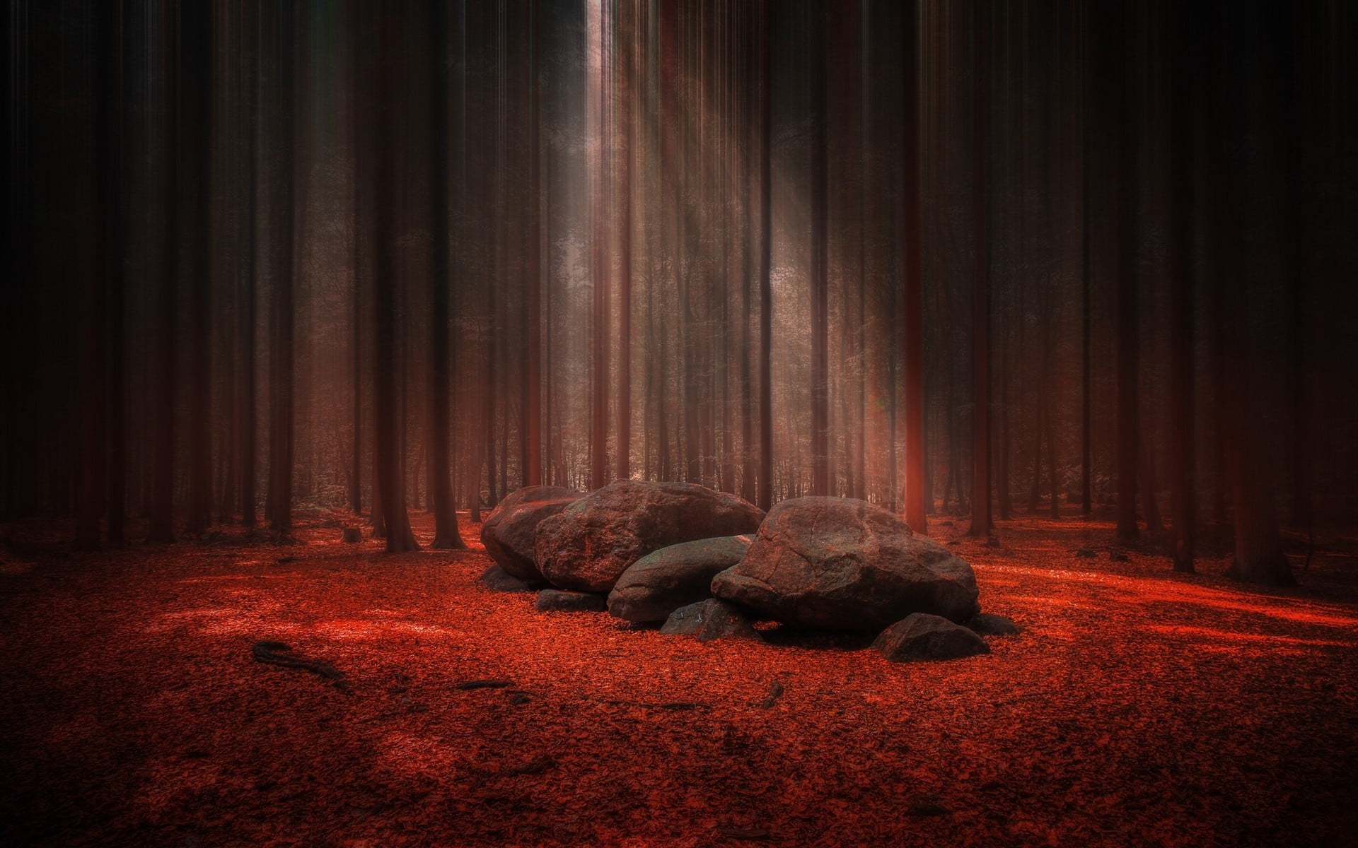 Wood Texture, mystery, stage performance space, mist, night
