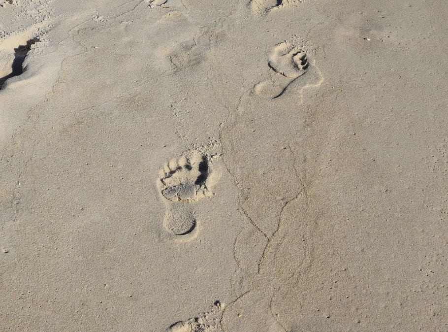 beach, animal representation, outdoors, pattern