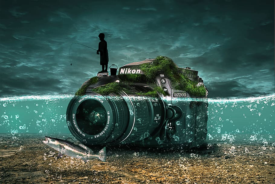 Best Underwater Digital Camera, blue, salmon, dslr, crazy