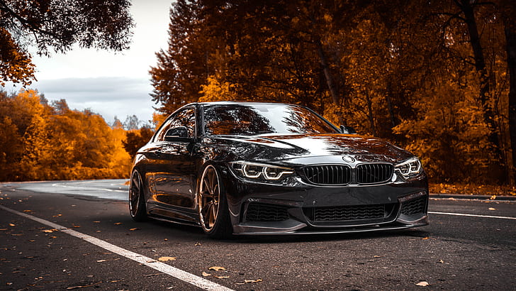 BMW Black Car, autumn, bmw 4series, bmw, 4series Free HD Wallpaper