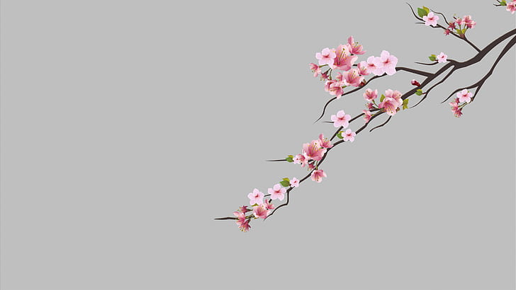 Cherry Blossom Flower Petals, pink flower, Pink flower, cherry blossom, dots Free HD Wallpaper