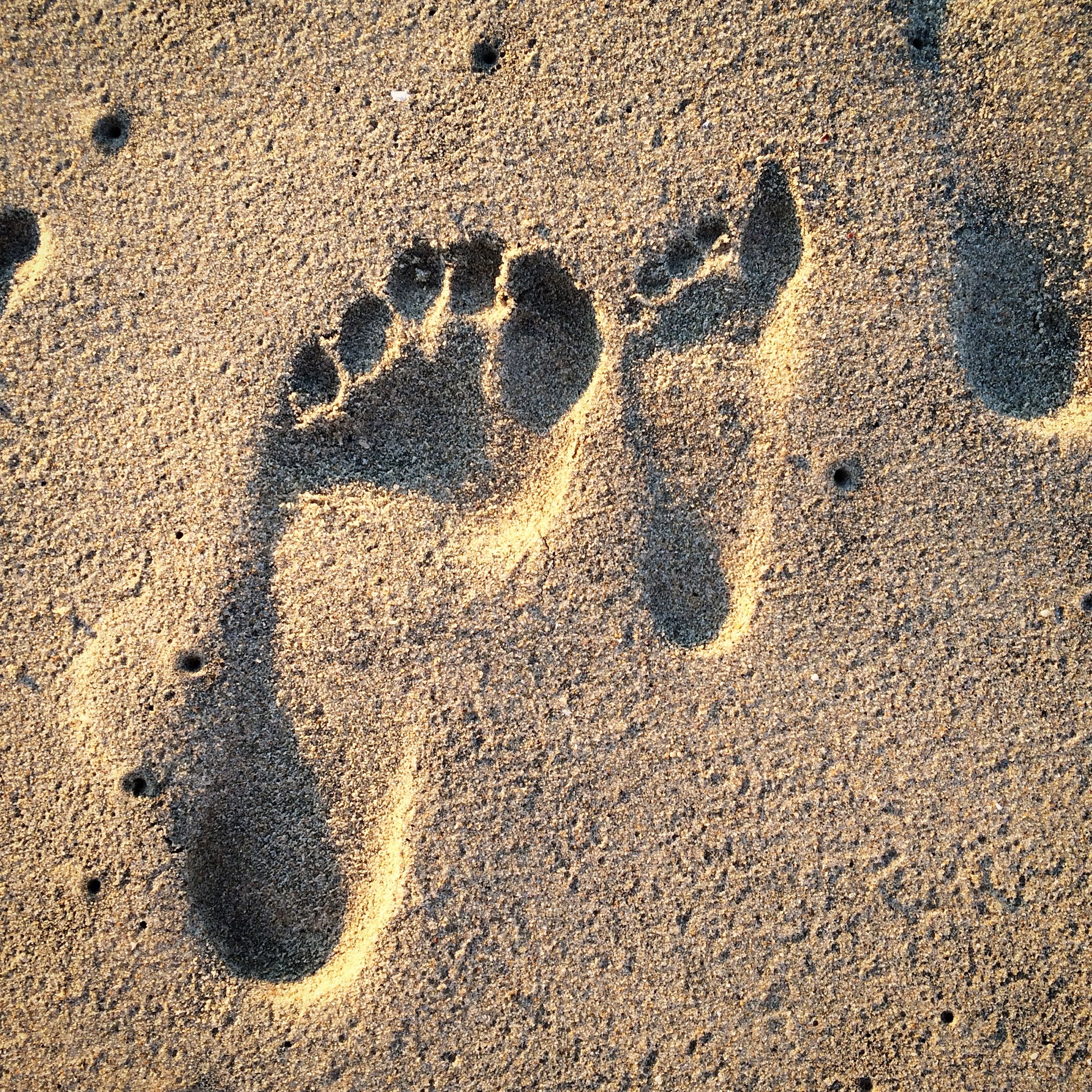 closeup, human representation, brown, outdoors