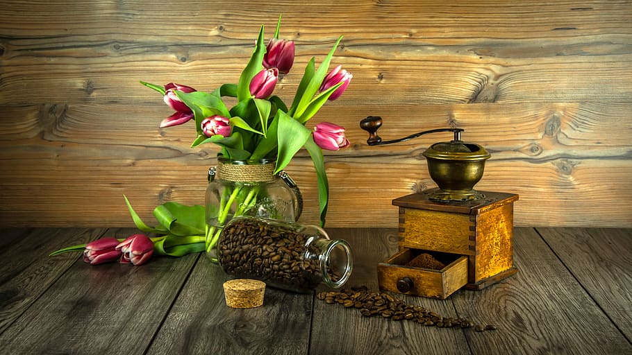 Coffee Table Books Photography, fragility, tulip, bouquet, tulips Free HD Wallpaper