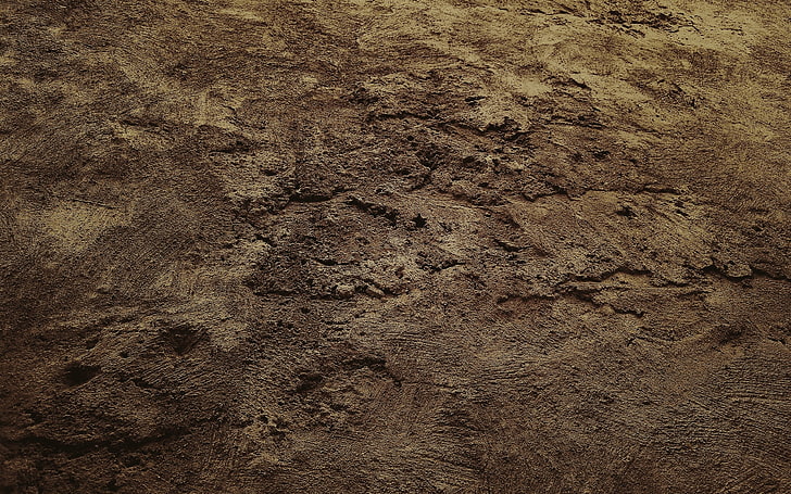 Dark Sand Beach, paw print, pattern, outdoors, mud Free HD Wallpaper