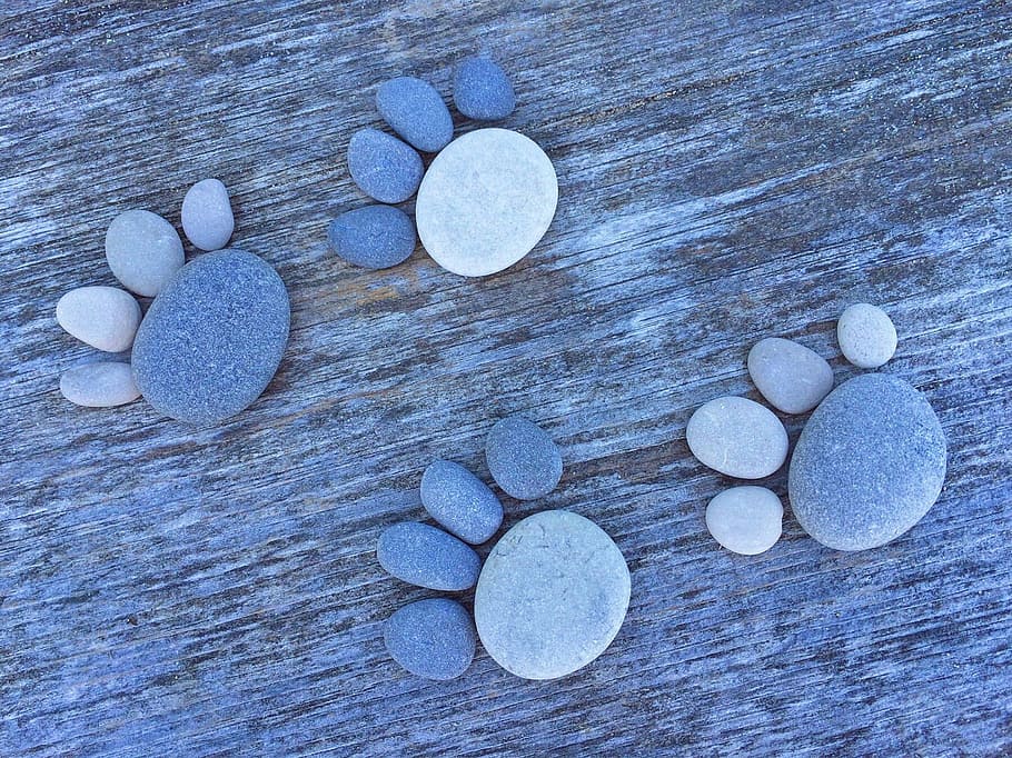 Dog Paw Print Art Ideas, table, medicine, science, healthcare and medicine Free HD Wallpaper