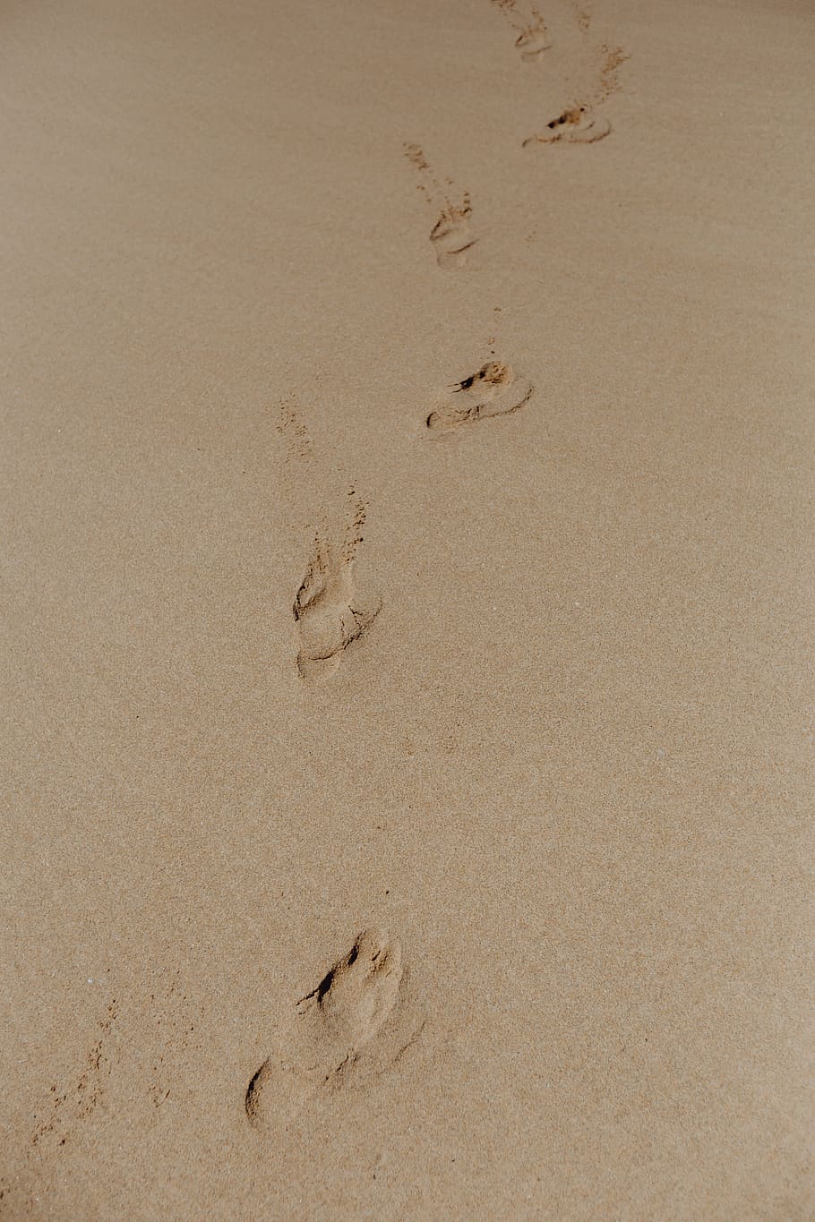 Drawing Footprints in Sand, no people, tranquility, footprints, europe Free HD Wallpaper