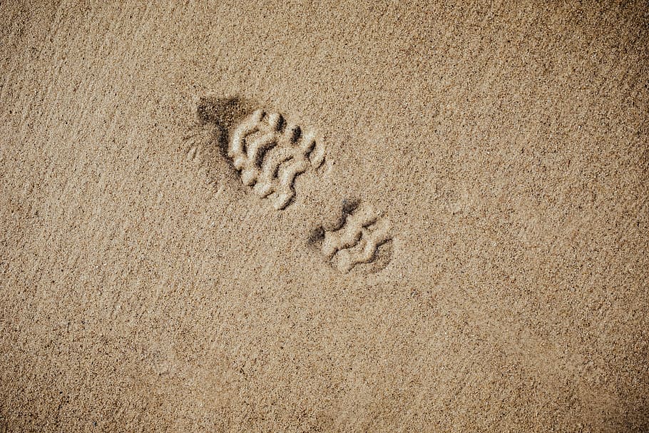 Footprint Carbon Calculator, nature, outdoors, beach, day