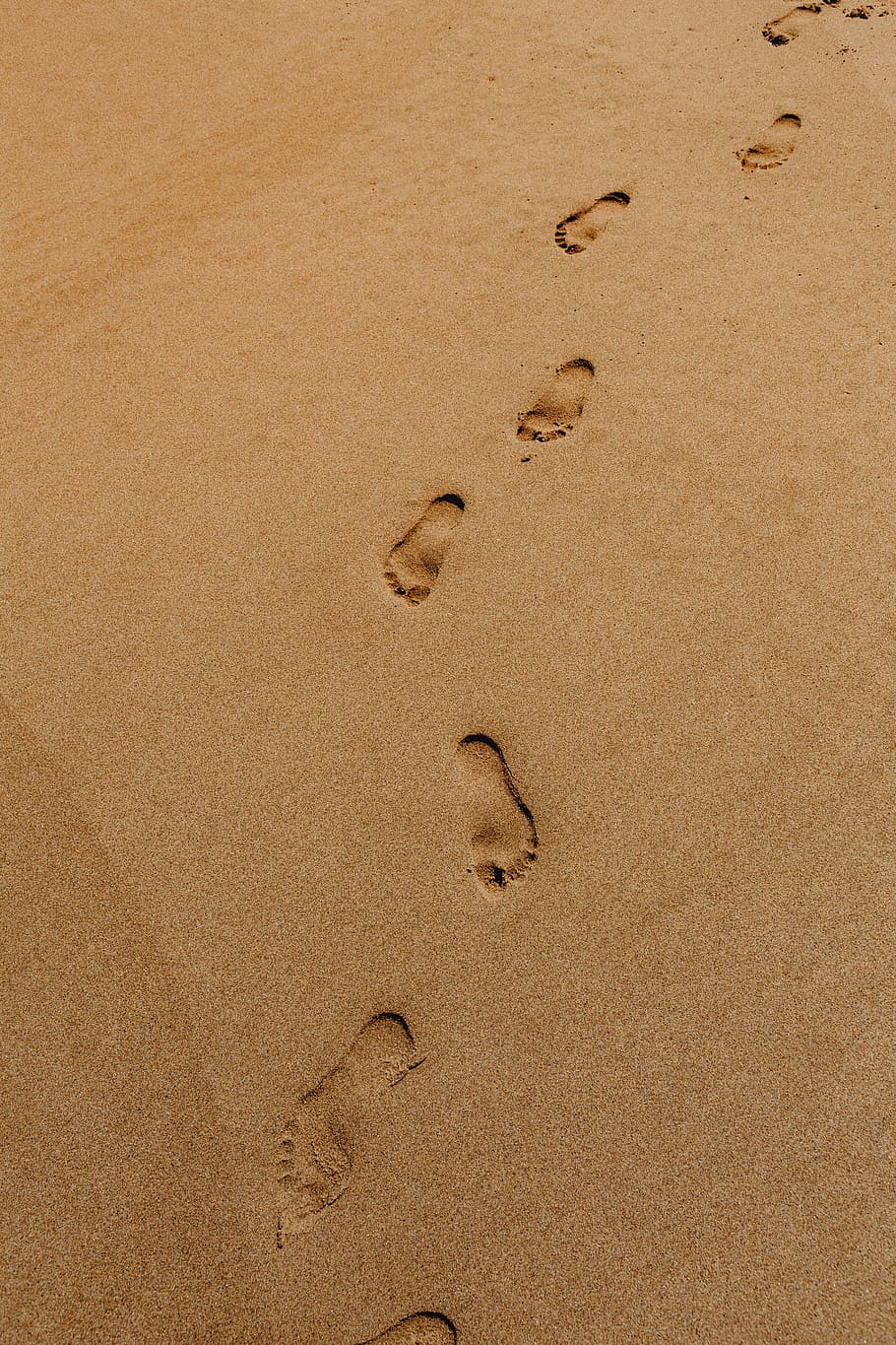 Footprints in the Sand, nature, day, europe, sunlight Free HD Wallpaper