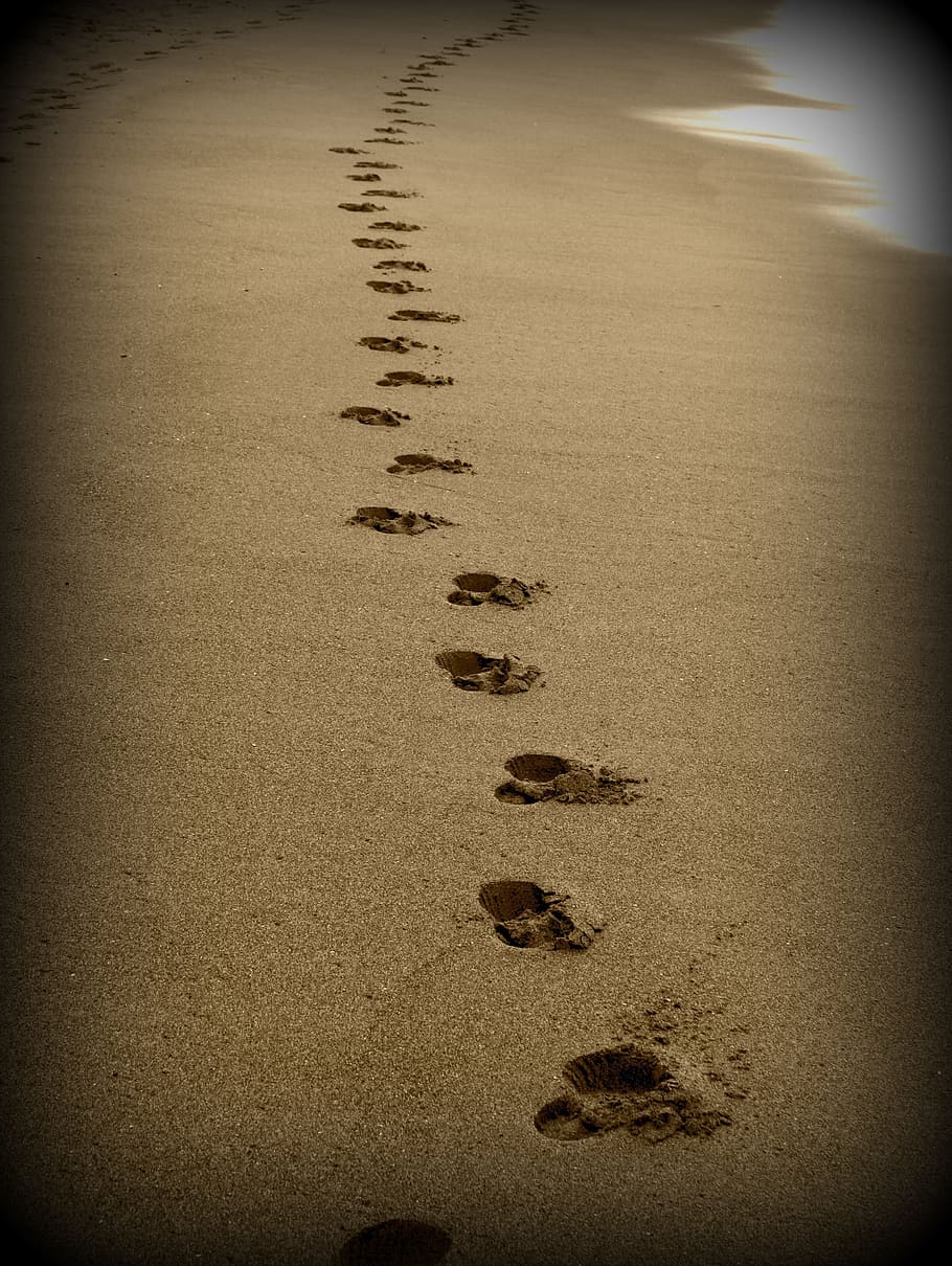 Footprints On a Beach, high angle view, mystery, animal themes, beach Free HD Wallpaper