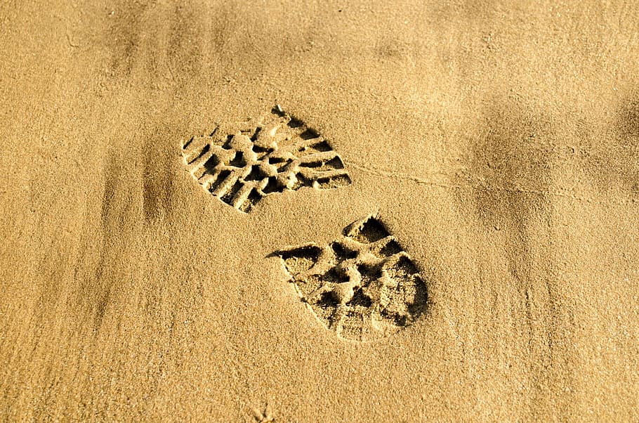 Footprints Sand Poem Free, paw print, brown, travel, directly above