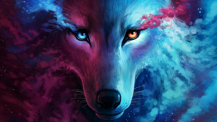 Galaxy Wolf, wolf, fantasy art, wild animal, art Free HD Wallpaper