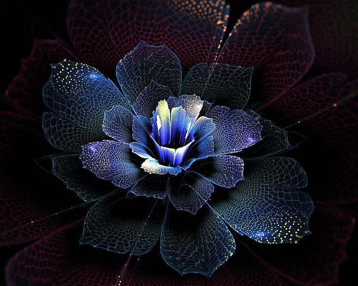 Gossamer Flowers, iris  plant, closeup, botany, flowering plant Free HD Wallpaper