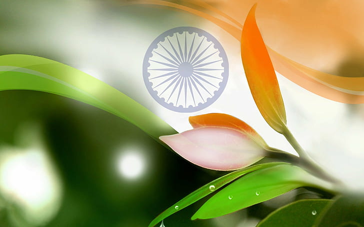 Happy Flag Day, indian, flag, india, flags Free HD Wallpaper