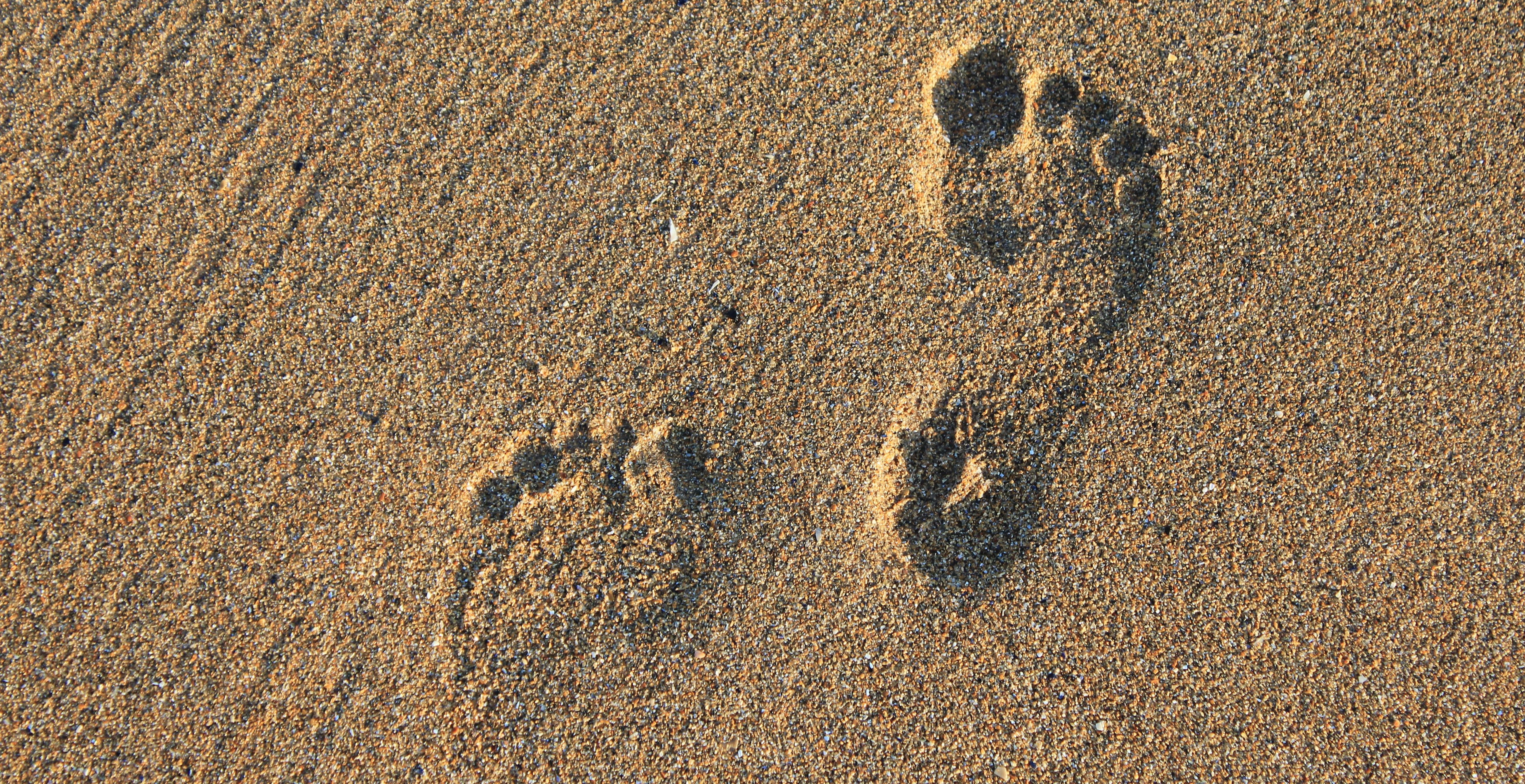 holiday, track imprint, outdoors, barefoot