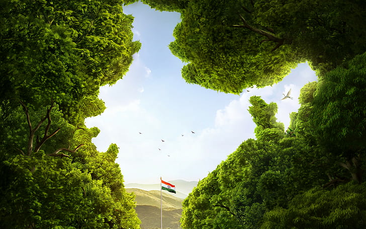 India Nature's Wonderland, india, indian flag Free HD Wallpaper