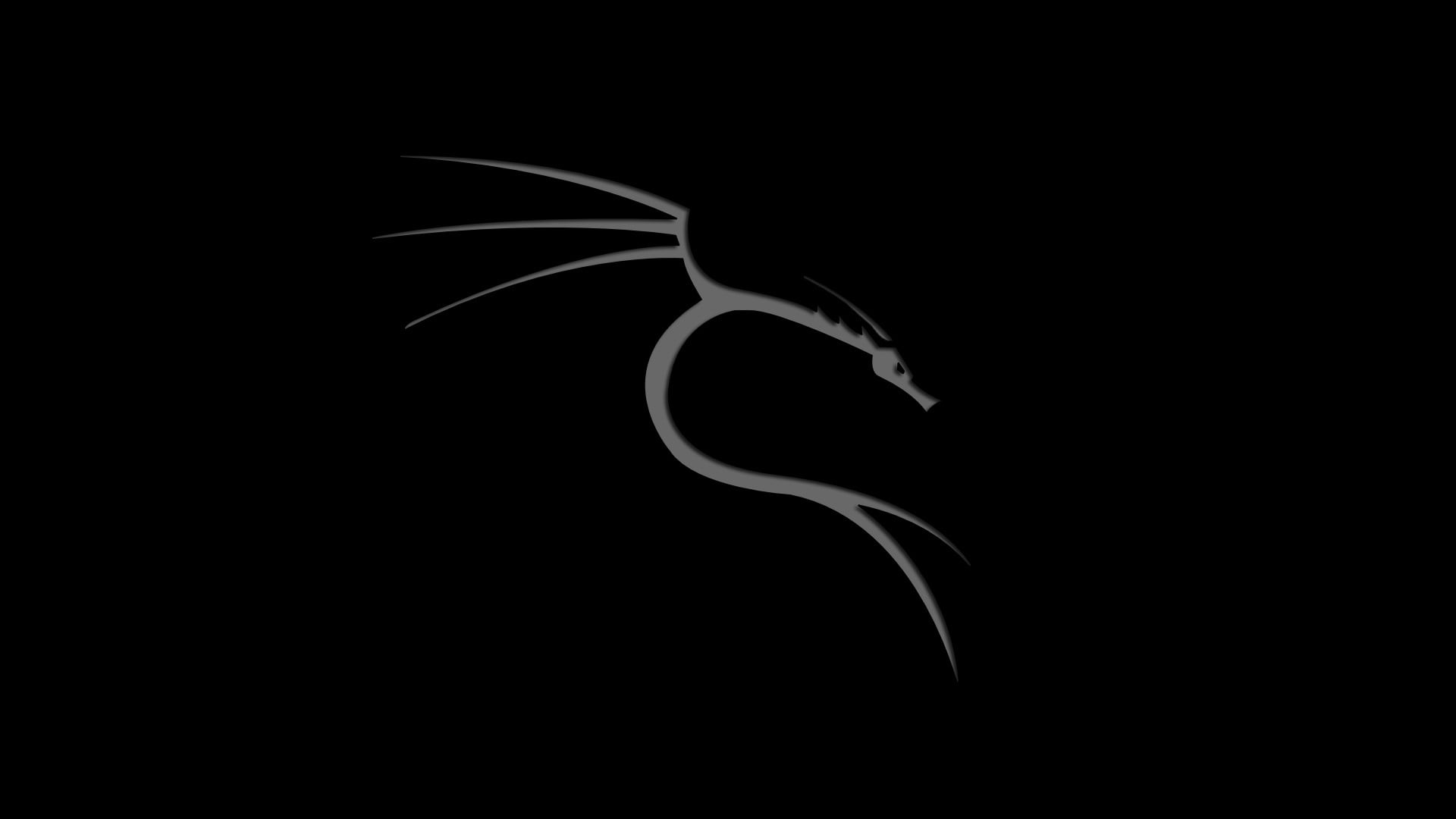 Kali Linux Phone, night, nature, animal, copy space