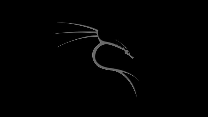 Kali Linux Phone, night, nature, animal, copy space Free HD Wallpaper