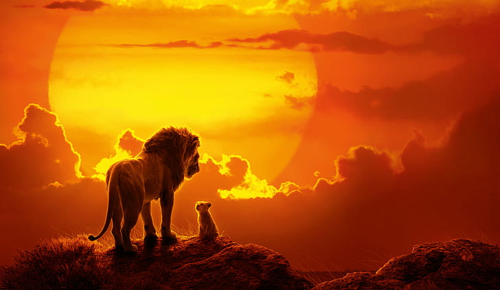 Lion King 2019 Pumbaa, the lion king 2019, simba, lion, movie Free HD Wallpaper