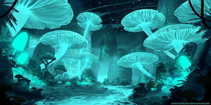 Mellow Mushroom Art, mushroom, cyan, rocks, lights Free HD Wallpaper