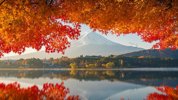 Mount Fuji Sunrise Hike, landscape, orange color, change, snow Free HD Wallpaper