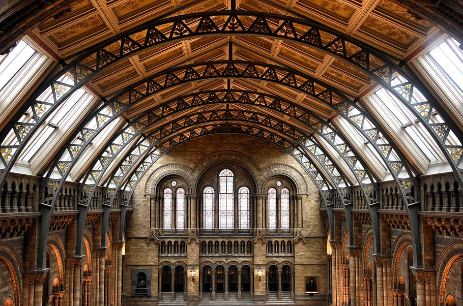 Natural History Museum London Gallery, art deco, architecture, canopy, ornate Free HD Wallpaper