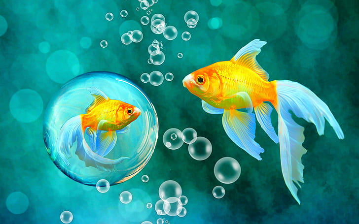 Ocean Bubbles, blue, fishes, bokeh, gold Free HD Wallpaper