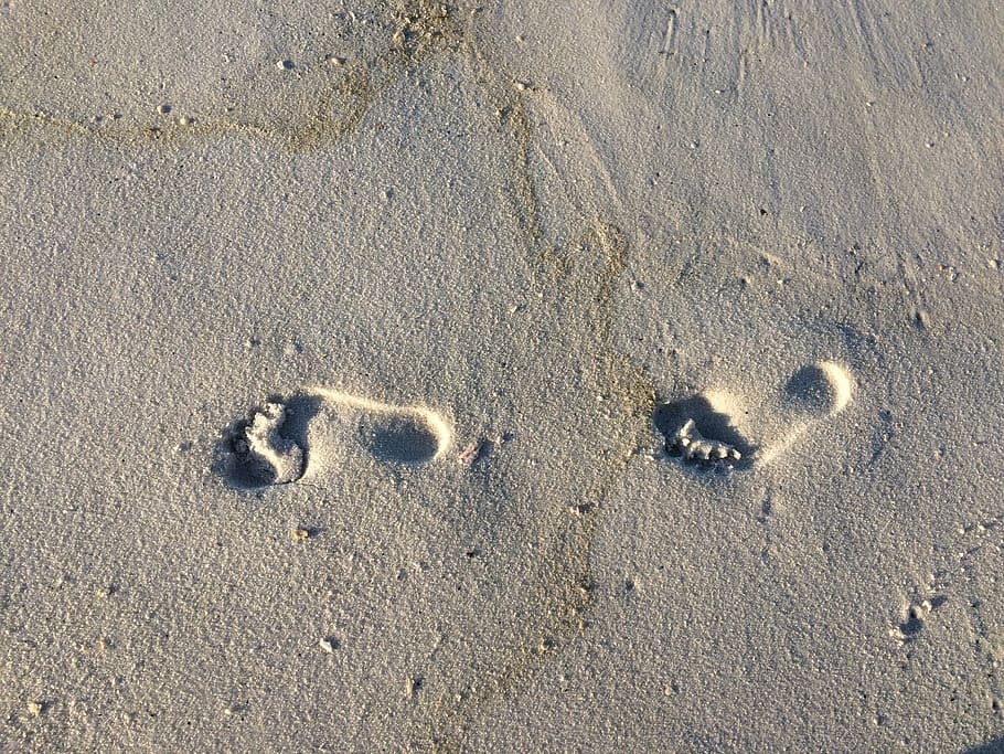 ocean, track  imprint, shoreline, wet