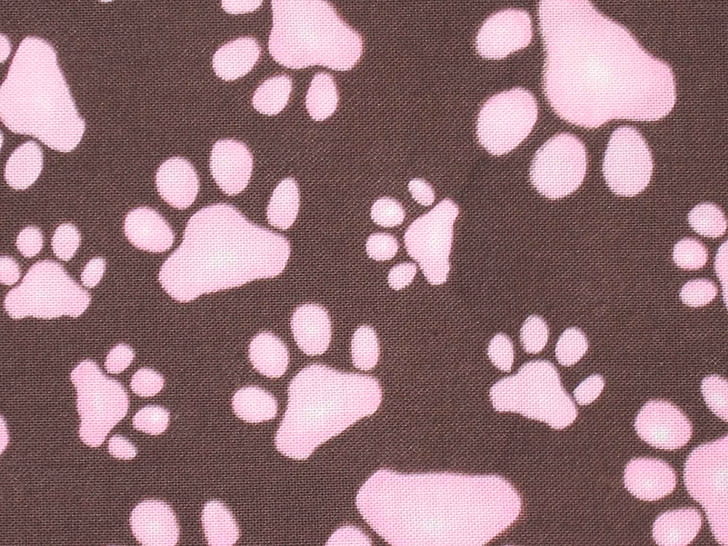 pink, paw prints, prints, small, Free HD Wallpaper