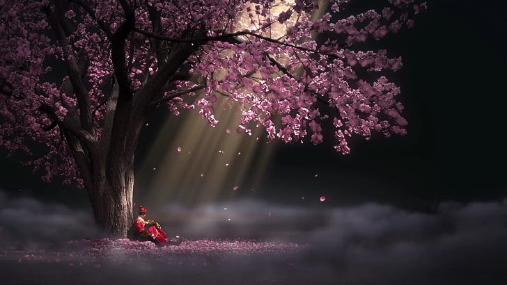 Purple Anime City, lifestyles, blossom, fragility, cherry blossom Free HD Wallpaper