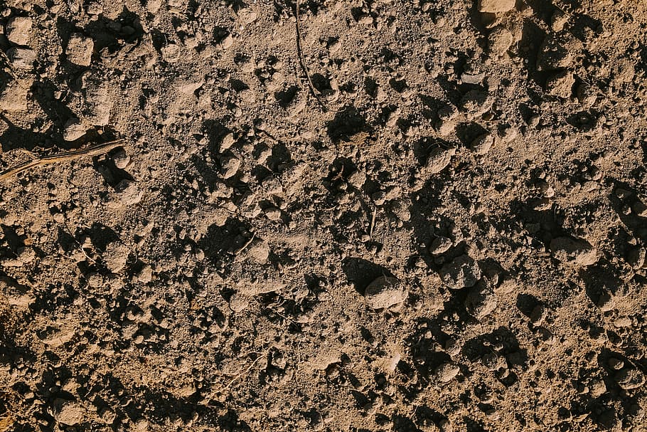 Rabbit Footprints in Snow, paw print, rock  object, earth, textured