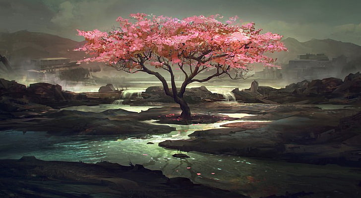 reflection, flower, springtime, lake Free HD Wallpaper